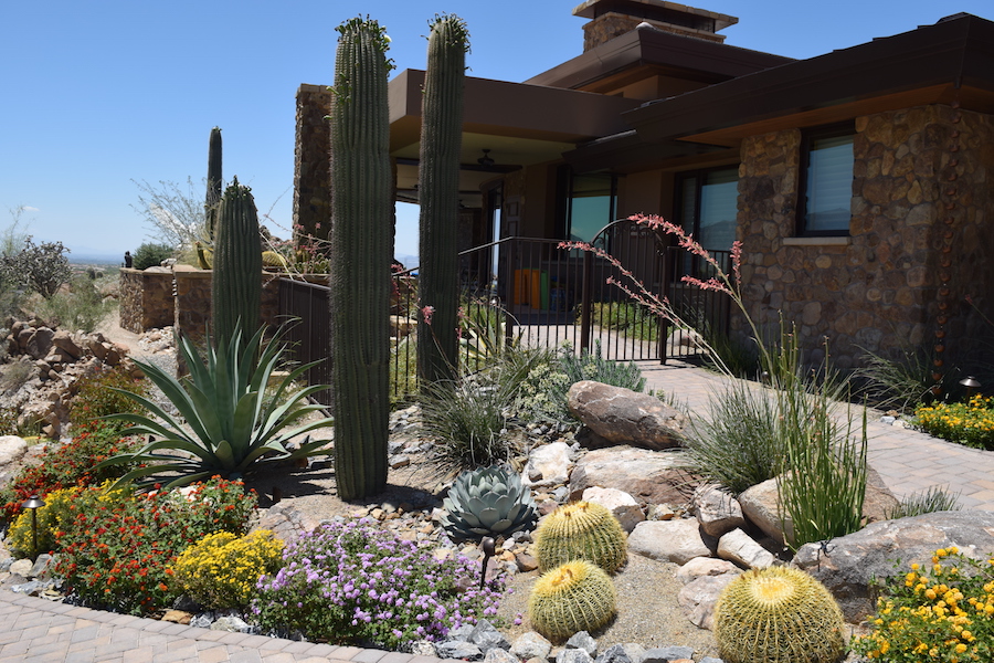 Landscape Lighting In Tucson The, Transformers Landscaping Tucson